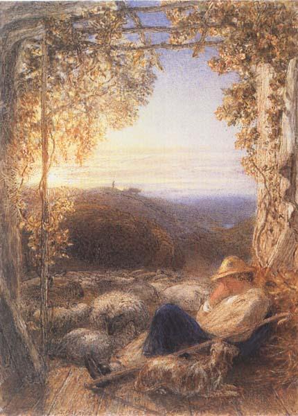 Samuel Palmer The Sleeping Shepherd china oil painting image